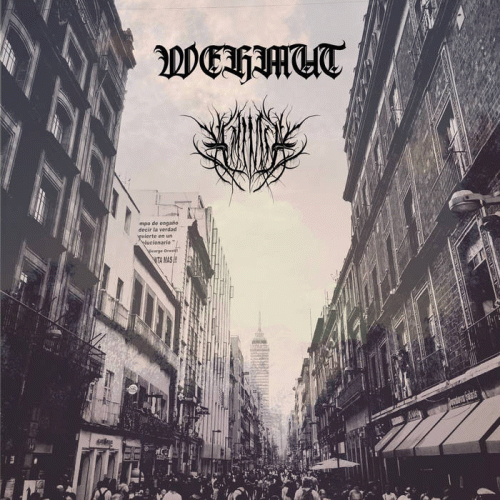 Amimia : Excerpts from Broken Minds